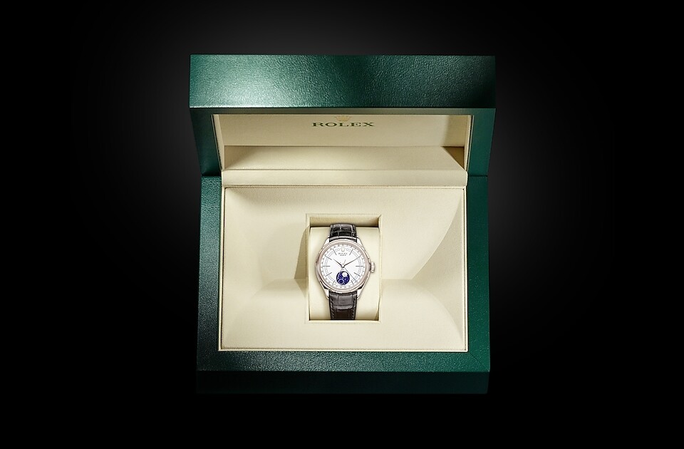 Rolex Cellini Moonphase in Gold M50535-0002
