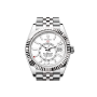 Rolex Sky-Dweller in Array M336934-0004 - 1 Thumbnail