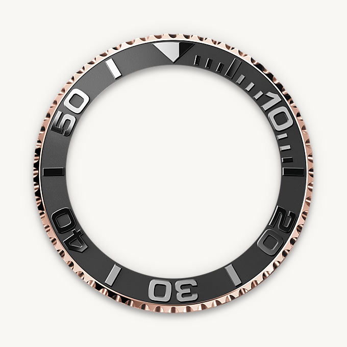 In beide Richtungen drehbare Lünette