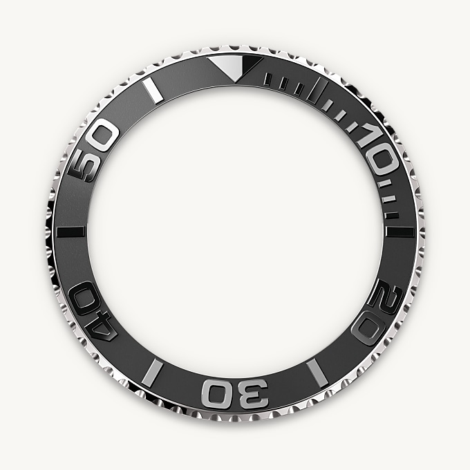 In beide Richtungen drehbare Lünette