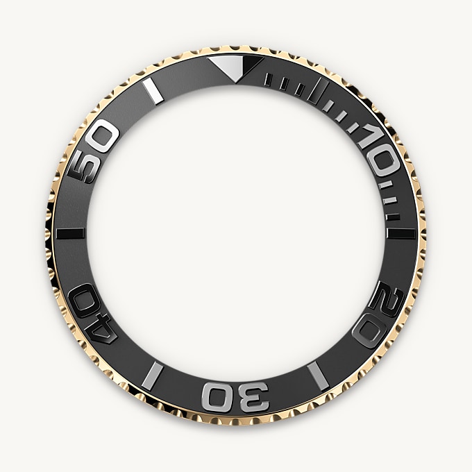 In beide Richtungen drehbare Lünette