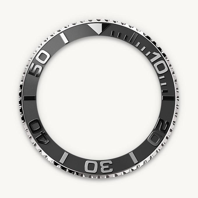 In beide Richtungen drehbare Lünette