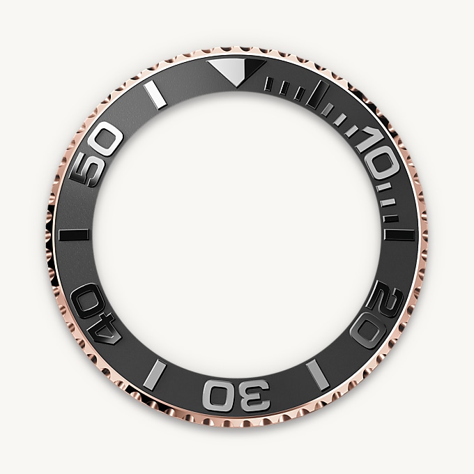 In beide Richtungen drehbare Lünette