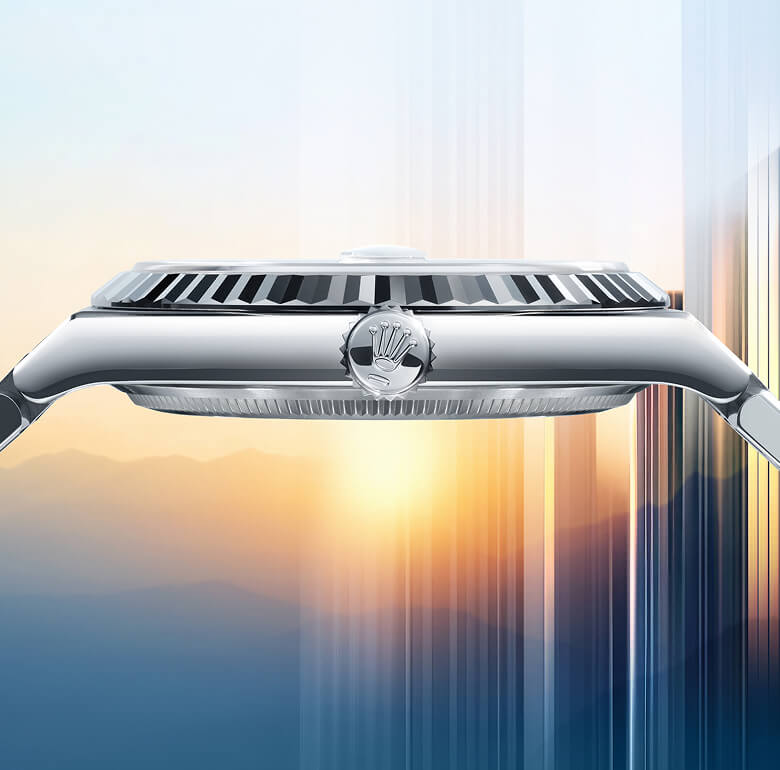 Optimaler Schutz des Uhrwerks